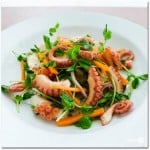 octopus_carrots_s_382_382